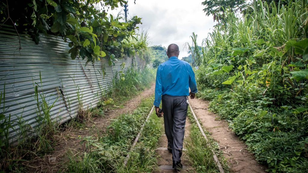 Field Production Support in the DRC